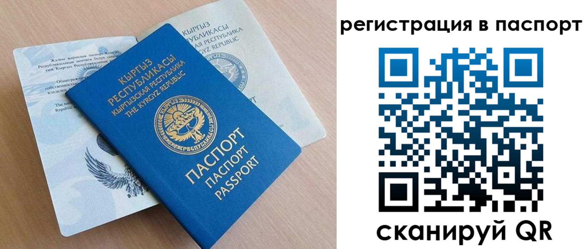 прописка законно в Завитинске